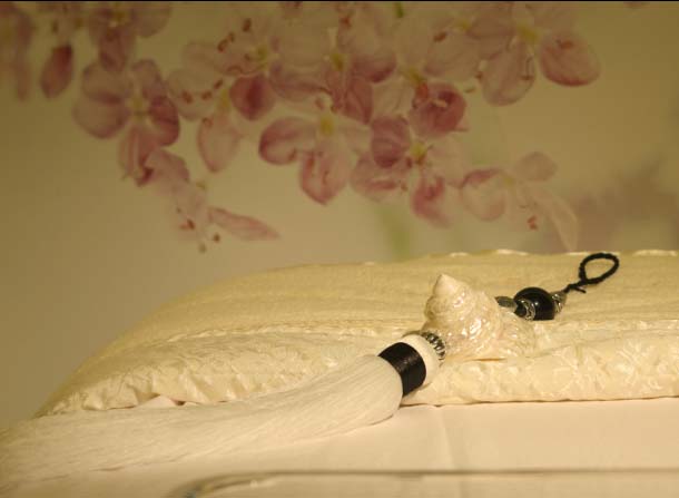 東莞美容院,東莞美容機構(gòu),東莞美容美體,東莞減肥瘦身